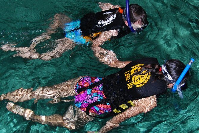 Turtle Snorkeling Adventure from Cancun - The Full Breakdown of the Tour Experience