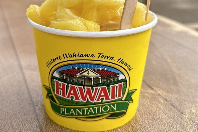 Turtle Snorkeling and Dole Plantation Guided Tour In Oahu - The Sum Up: Is This Tour Right for You?