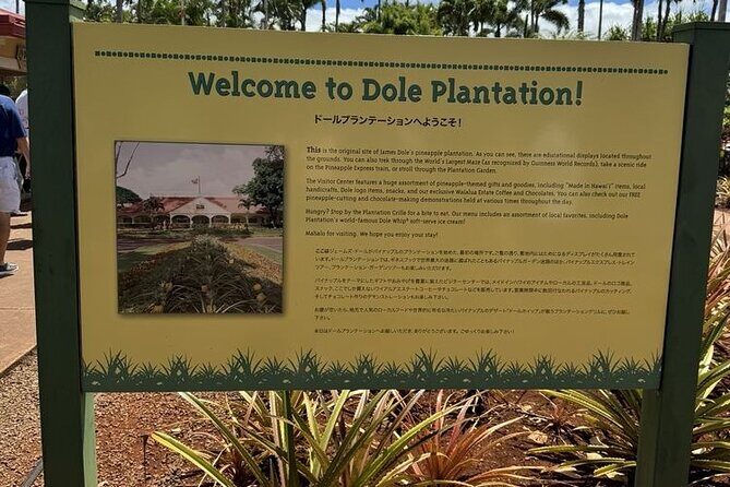 Turtle Snorkeling and Dole Plantation Guided Tour In Oahu - FAQ