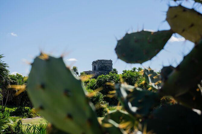 Turtle Swim & Tulum Ruins! Round Transportation from Playa del Carmen - Final Thoughts