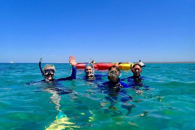 Turtle Tour - Ningaloo Reef Half Day Sea Kayak and Snorkel Tour - Key Points