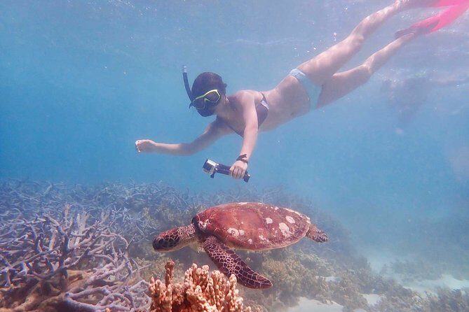 Turtle Tour - Ningaloo Reef Half Day Sea Kayak and Snorkel Tour - FAQs