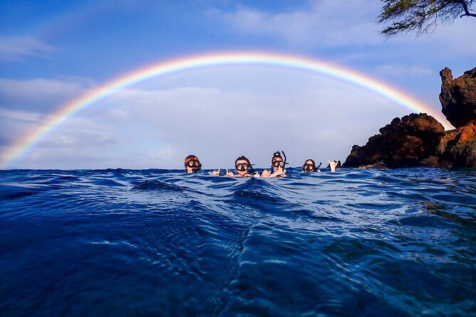 Turtle Town Clear Kayak & Snorkel Tour (10:30am-1pm) - The Pacing and Group Size