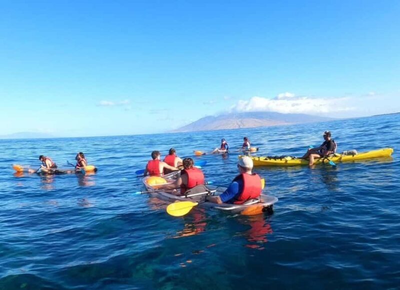 Turtle Town, Makena; Clear Bottom Kayak and Snorkel Tour - Who Should Consider This Tour?