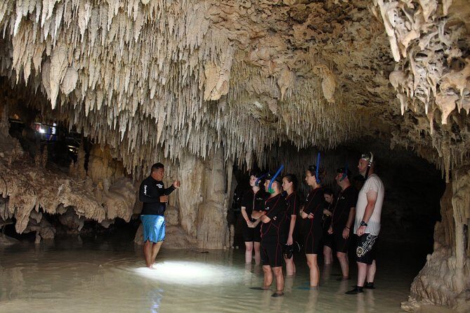 Turtles and Cenote snorkeling activity from Riviera Maya - What the Reviews Say