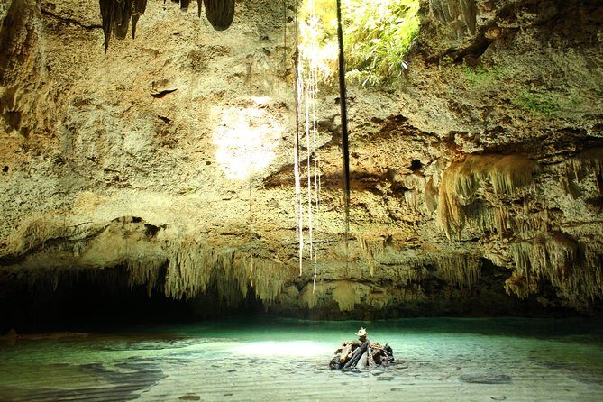 Turtles and Cenote snorkeling activity from Riviera Maya - Is This Tour Right for You?