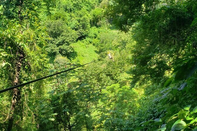 Turtles Release Adventure - What to Expect from the Turtles Release Adventure