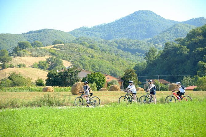 Tuscan countryside bike tour and food tasting - Key Points