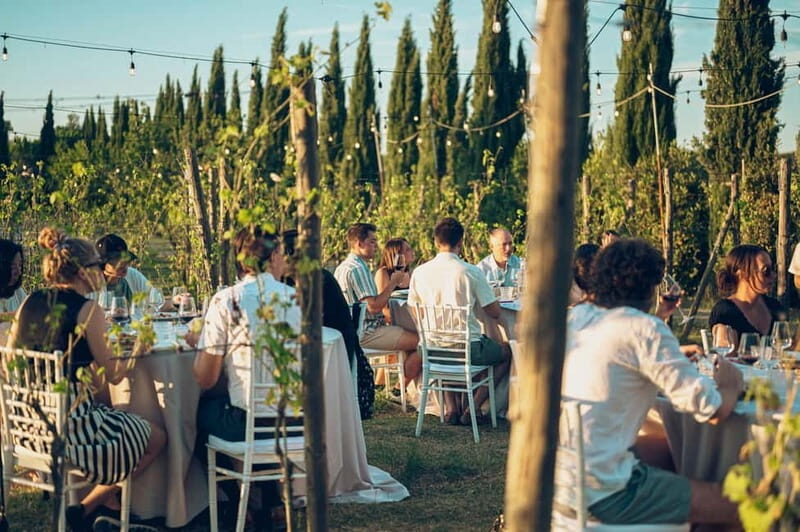 Tuscan Vineyard Dinner with Wine Tasting - Key Points