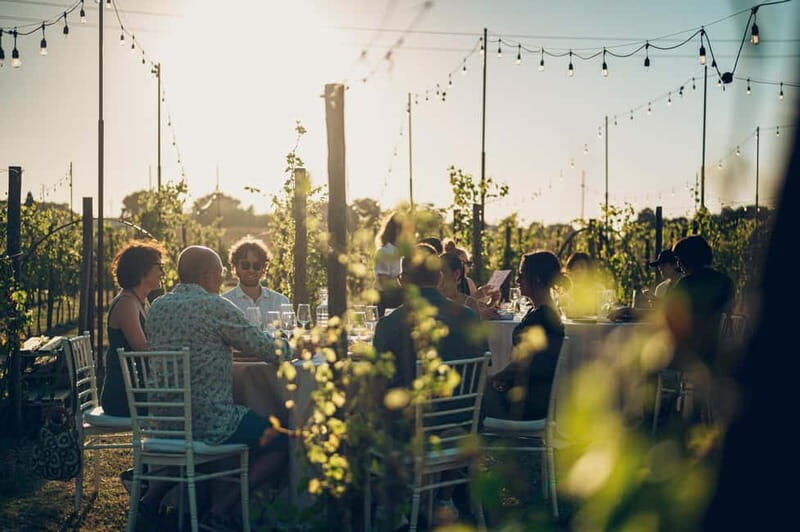 Tuscan Vineyard Dinner with Wine Tasting - An In-Depth Look at the Experience