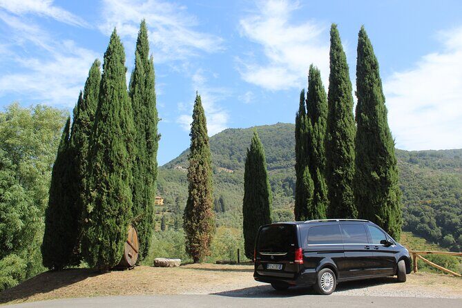 Tuscan Wine Tour in Lucca by van - What You Can Expect from the Tuscan Wine Tour in Lucca
