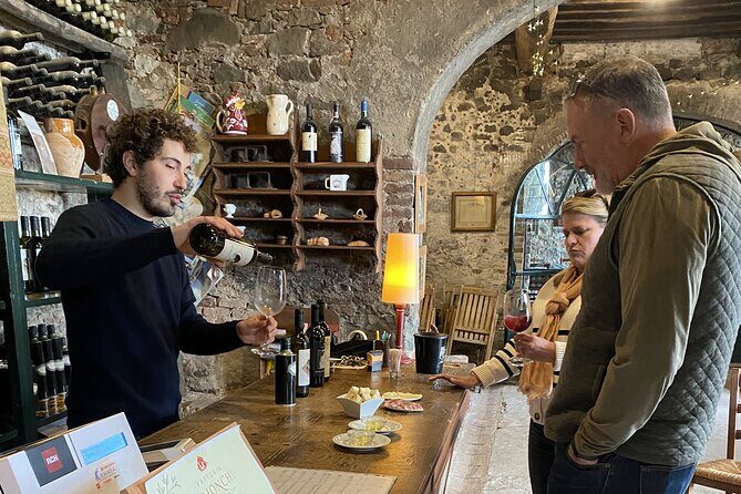 Tuscan Wine Tour in Lucca by van - Visiting the Wineries: Authentic and Intimate