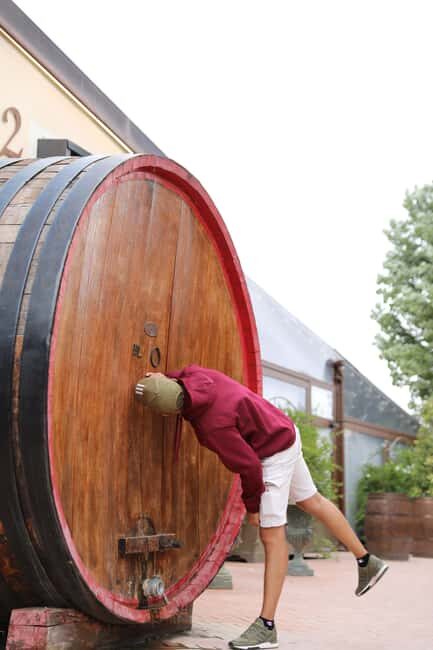 Tuscany Florence day trip with Vinery Lunch from Rome - Key Points