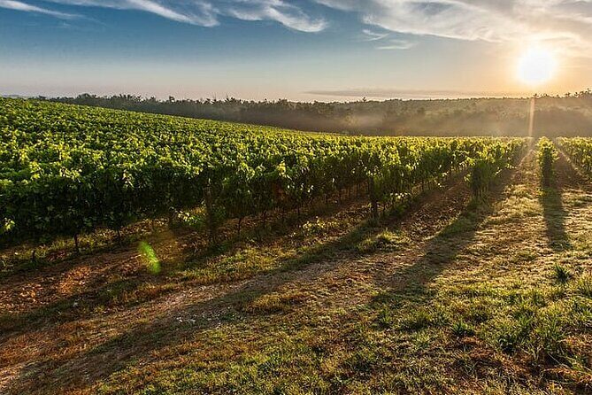 Tuscany from Rome- Siena and San Gimignano Private Day Tour - A Closer Look at the Itinerary