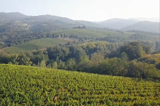 Tuscany Grand Tour from Florence: Pisa,Chianti Wine Tasting,Siena - FAQ