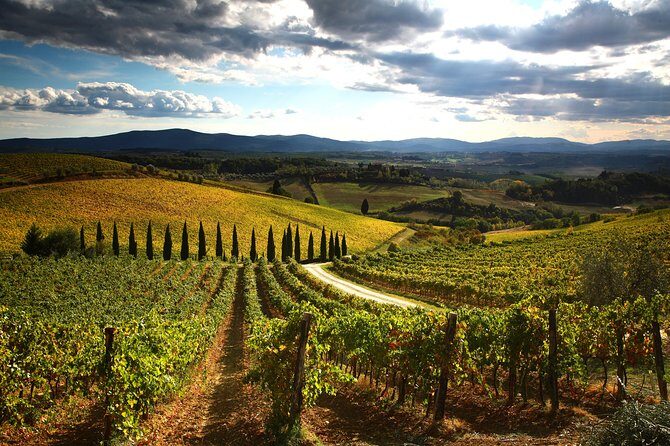 Tuscany Hiking Tour from Siena Including Wine Tasting - A Detailed Look at the Experience