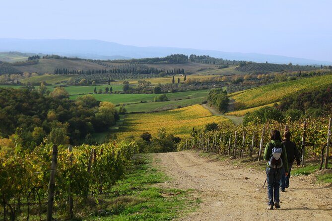 Tuscany Hiking Tour from Siena Including Wine Tasting - Who Will Love This Tour?