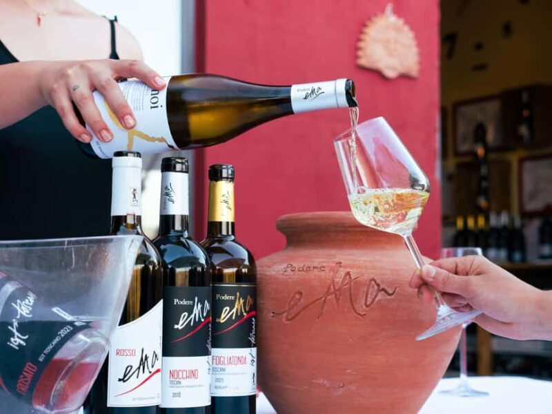 Tuscany: Immersive Winery + tasting (4 wines) - Tuscany: Immersive Winery + Tasting (4 Wines) — A Practical Look