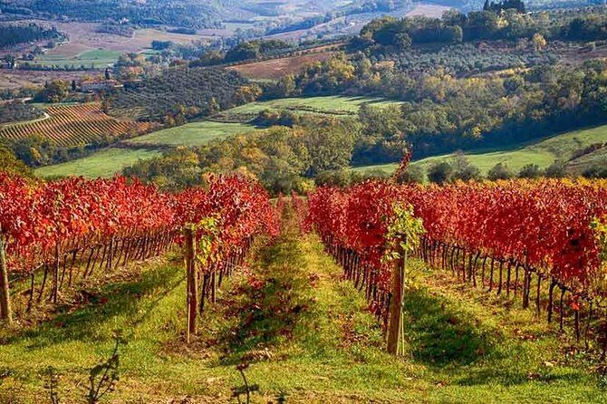 Tuscany Landscapes, Castels & Chianti Wine District - Frequently Asked Questions