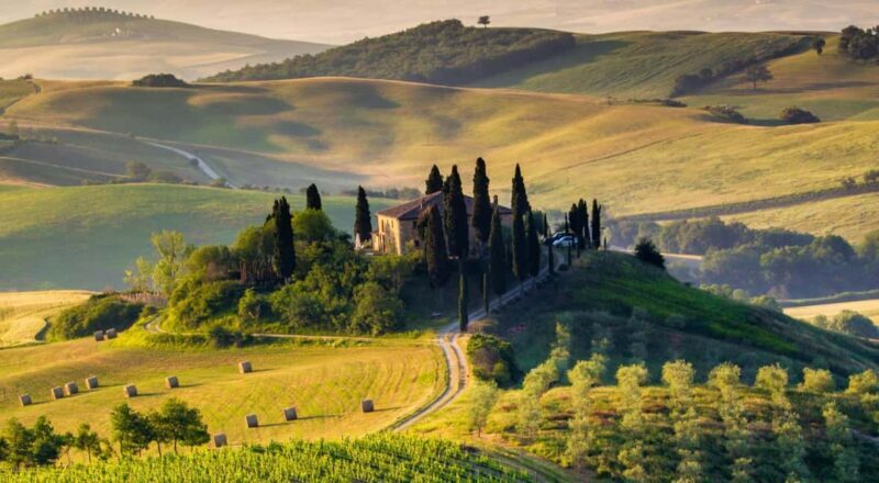 Tuscany: Olive Harvest, San Gimignano & Wine Tour - Who Would Love This Tour?