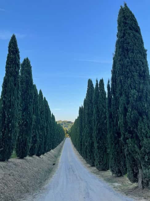 Tuscany private tour Chianni Valderra - Discover the Charm of Tuscany with the Chianni Valdera Private Tour