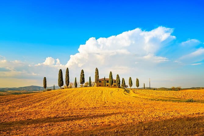Tuscany Private Tour with Wine and Cheese Tasting from Florence - Key Points