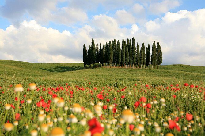 Tuscany Tour: Montepulciano, Pienza & Montalcino - What’s Included and What’s Not