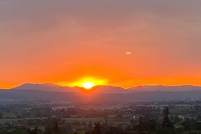 Tuscany Tour Siena - San Gimignano - Winery - Key Points