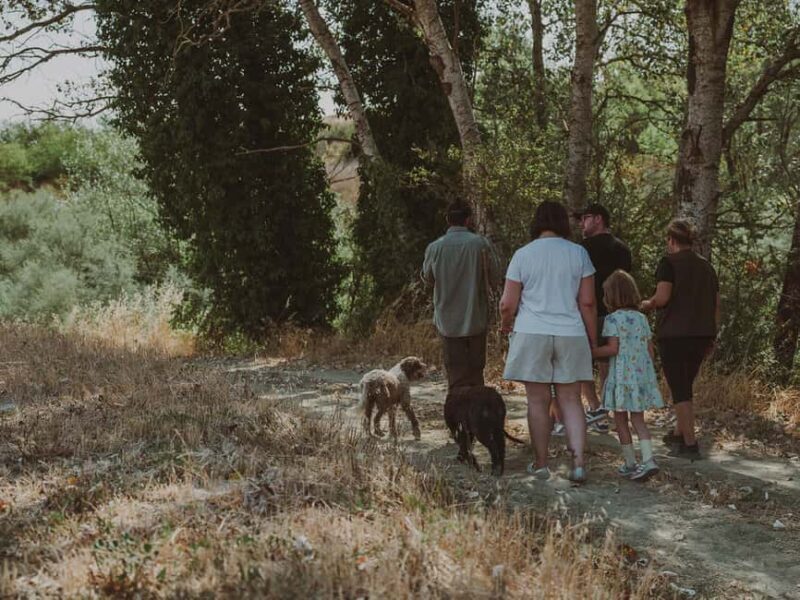 Tuscany: Volterra Truffle Hunting Experience - Introduction