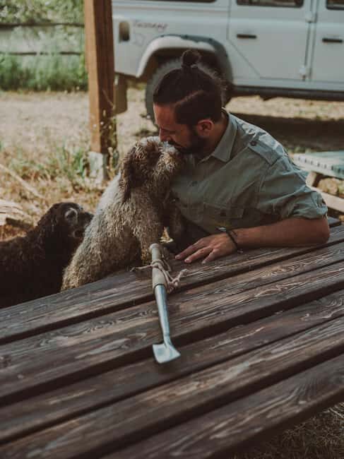 Tuscany: Volterra Truffle Hunting Experience - Authenticity and Real Traveler Feedback