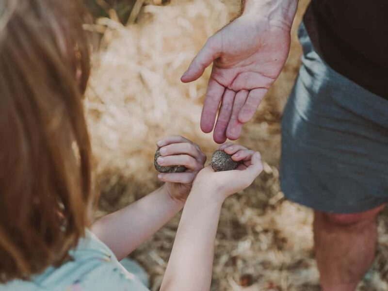 Tuscany: Volterra Truffle Hunting Experience - The Sum Up