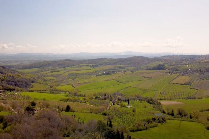Tuscany Wine & Hills from Florence - Final Thoughts: Is This Tour Right for You?