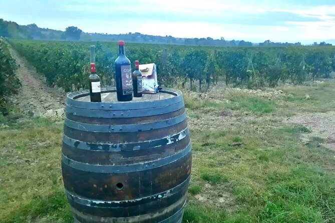 Tuscany Wine & Hills from Siena - Frequently Asked Questions