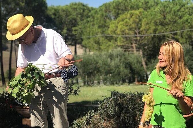 Tuscany Wine & Hills from Siena - Final Thoughts