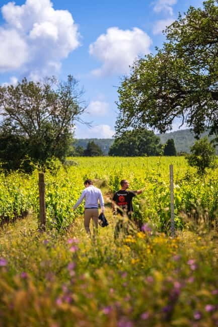 Tuscany: Wine Tasting Experience - Key Points