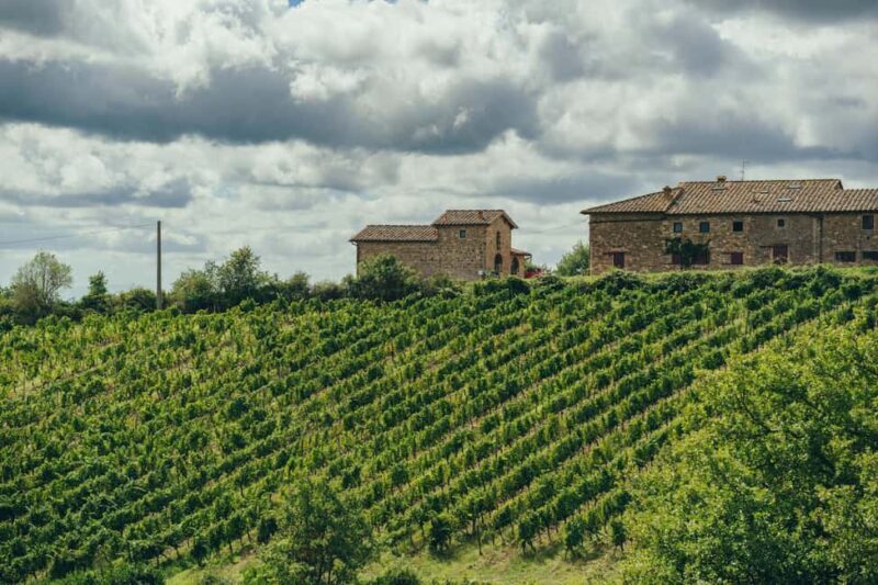 Tuscany wine tour with a local wine expert ( small group) - The Experience’s Strengths and Considerations