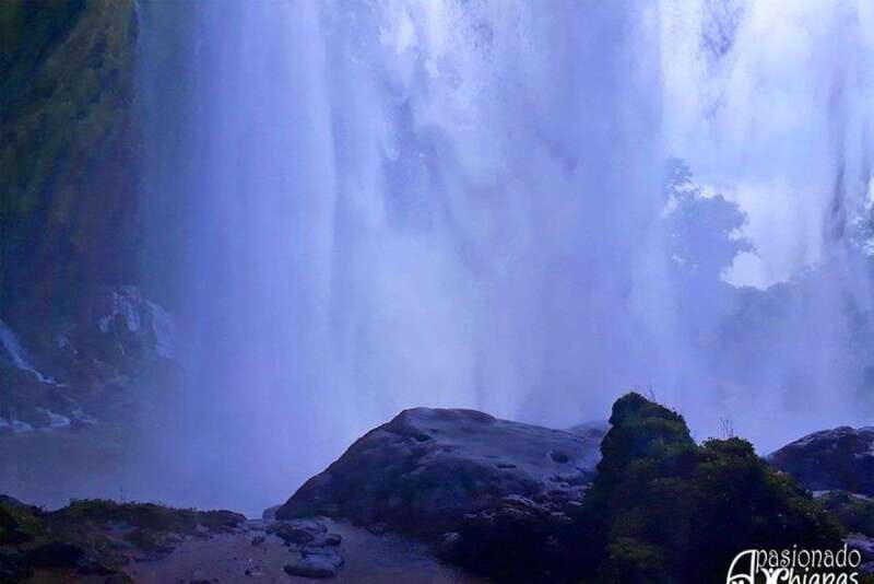 Tuxtla Gutierrez: Agua Azul, Misol Ha & Palenque Experience - The Value of This Tour