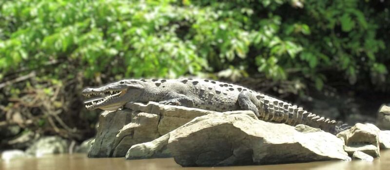 Tuxtla Gutierrez: Sumidero Canyon River and Chiapa de Corzo - An Intro to the Tour