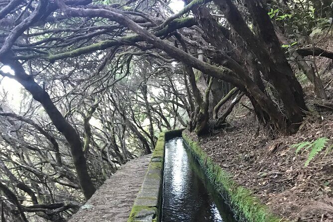 Twenty-Five Fountains Levada walks (private) - What the Tour Offers: An In-Depth Look
