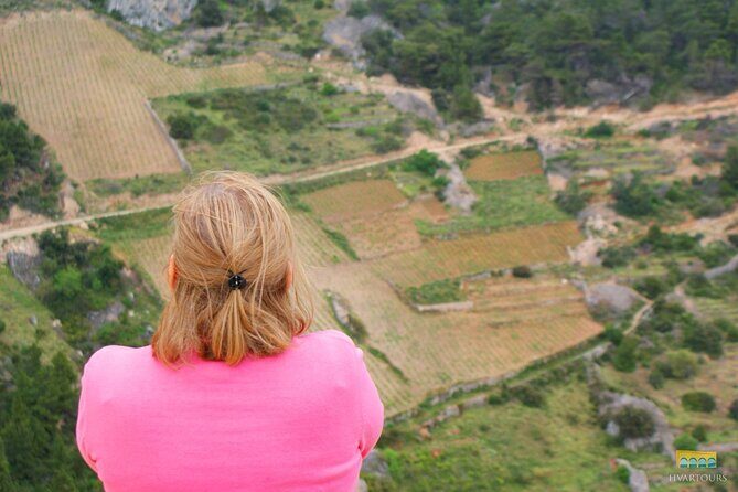 Twice the Wine - Two wineries half day tour, with delicacies - The Downsides and Things to Consider