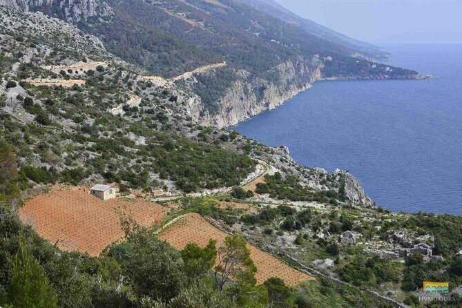 Twice the Wine - Two wineries half day tour, with delicacies - Who Should Book This Tour?