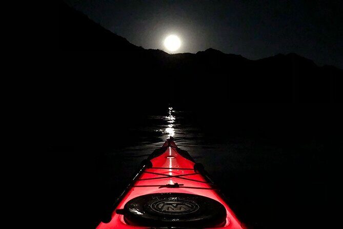 Twilight Black Canyon Kayak Tour with Bonfire Experience - The Itinerary: What to Expect