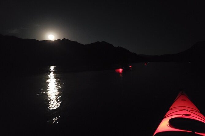 Twilight Black Canyon Kayak Tour with Bonfire Experience - What the Reviews Say