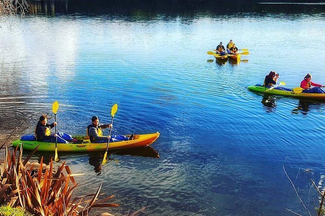 Twilight Glowworm Kayak Tour  Lake Karapiro - Key Points