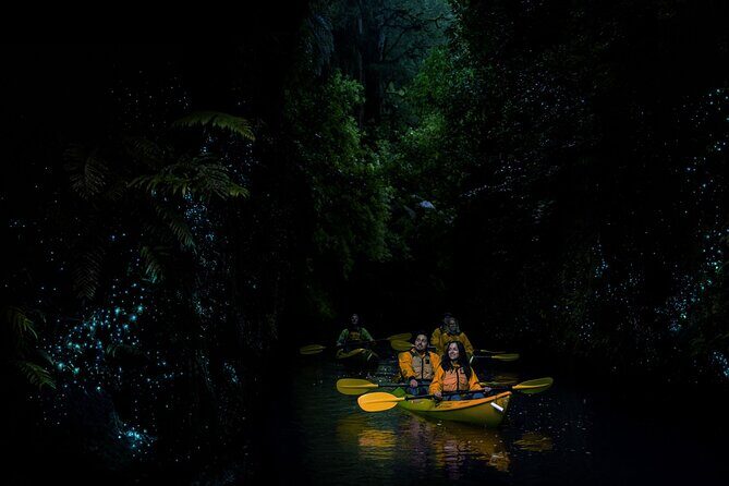 Twilight Glowworm Kayak Tour  Lake Karapiro - Final Thoughts