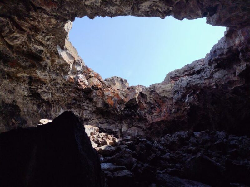 Twin Falls: Craters of the Moon Full-Day Tour with Lunch - Wildlife and Plants: Nature’s Touch