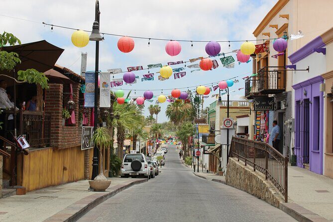 Two Capes City Tour - Frequently Asked Questions