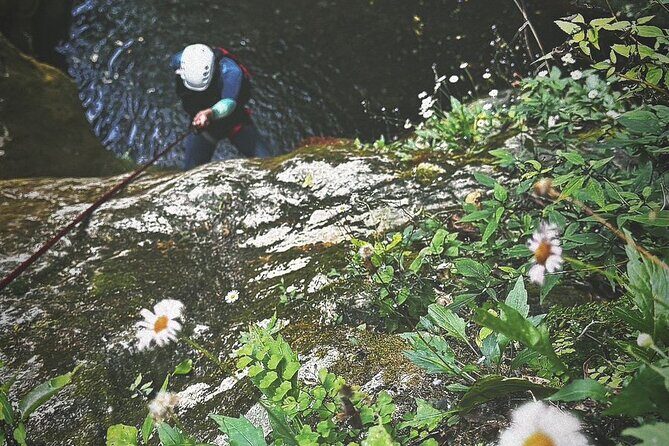 Two-day canyoneering experience in Cañon del Infiernillo - What We Learned from Reviews & Descriptions