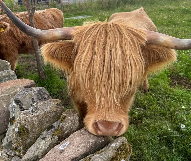 Two Day Taster Tour of Skye, the Highlands and Glencoe - Key Points