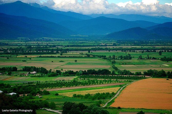 Two Days in Gorgeous Wine Region with Full board Meals and Tastings From Tbilisi - Key Points